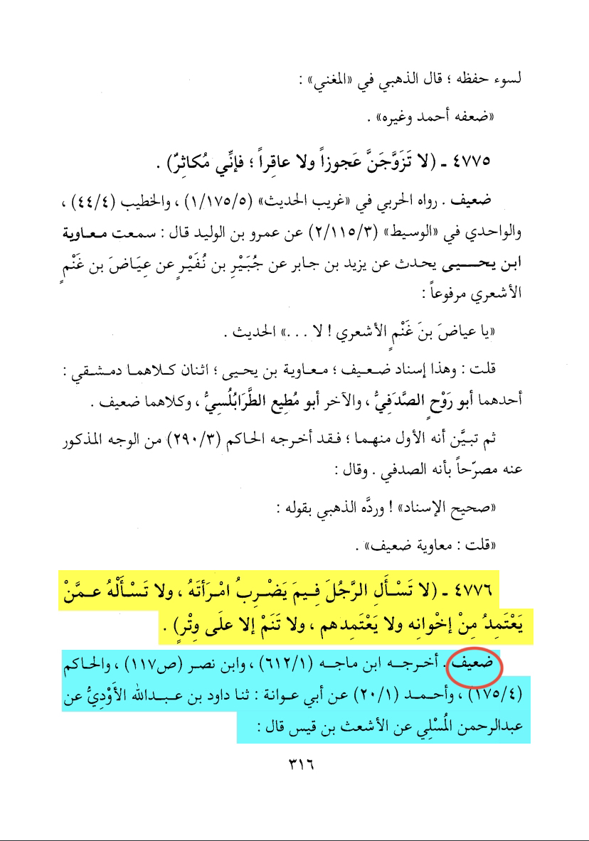 13353 d8d4a3bb1044e67f