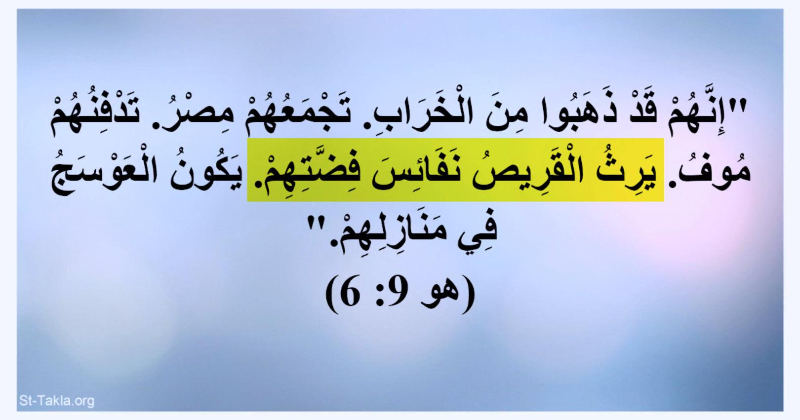 15f6ef13 0bb2 40cb 85b6 78fbb72f0906 94bed5913a246f47