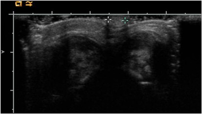 41372 2008 Article BFjp200839 Fig1 HTML 937e30d8b11c745d