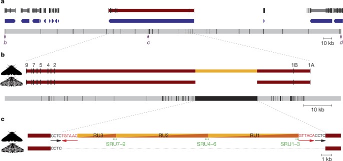 41586 2016 Article BFnature17951 Fig1 HTML 8eb39e780dcfe637