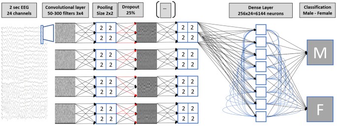 41598 2018 21495 Fig1 HTML 3332caad90e221b1