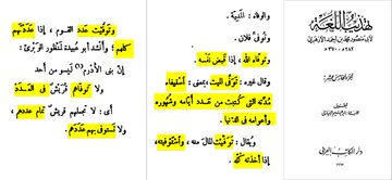 5 examples of quranic ayat not related to isa where linguists exegetes didnt interpret as 17
