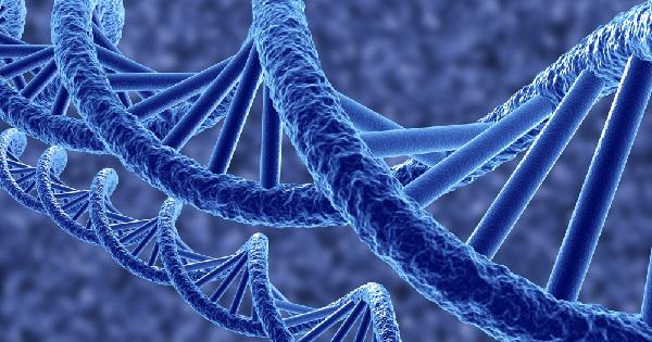 Genetics Share 826d482e241f21fe
