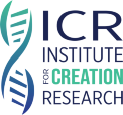 ICR 228height 9d8e2954075e4bc2