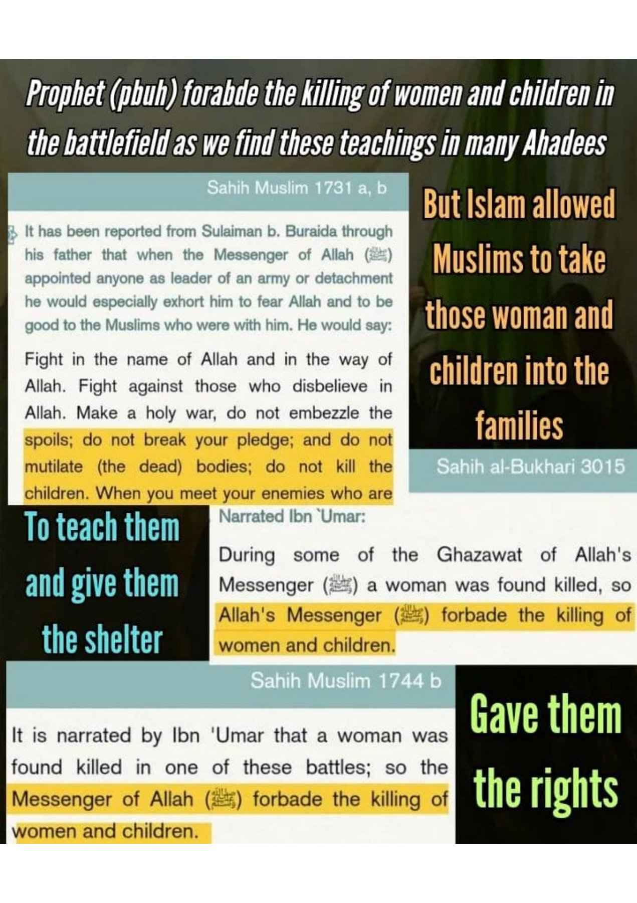 Islamophobes Nightmare. 1002 84e65c704a3128e5