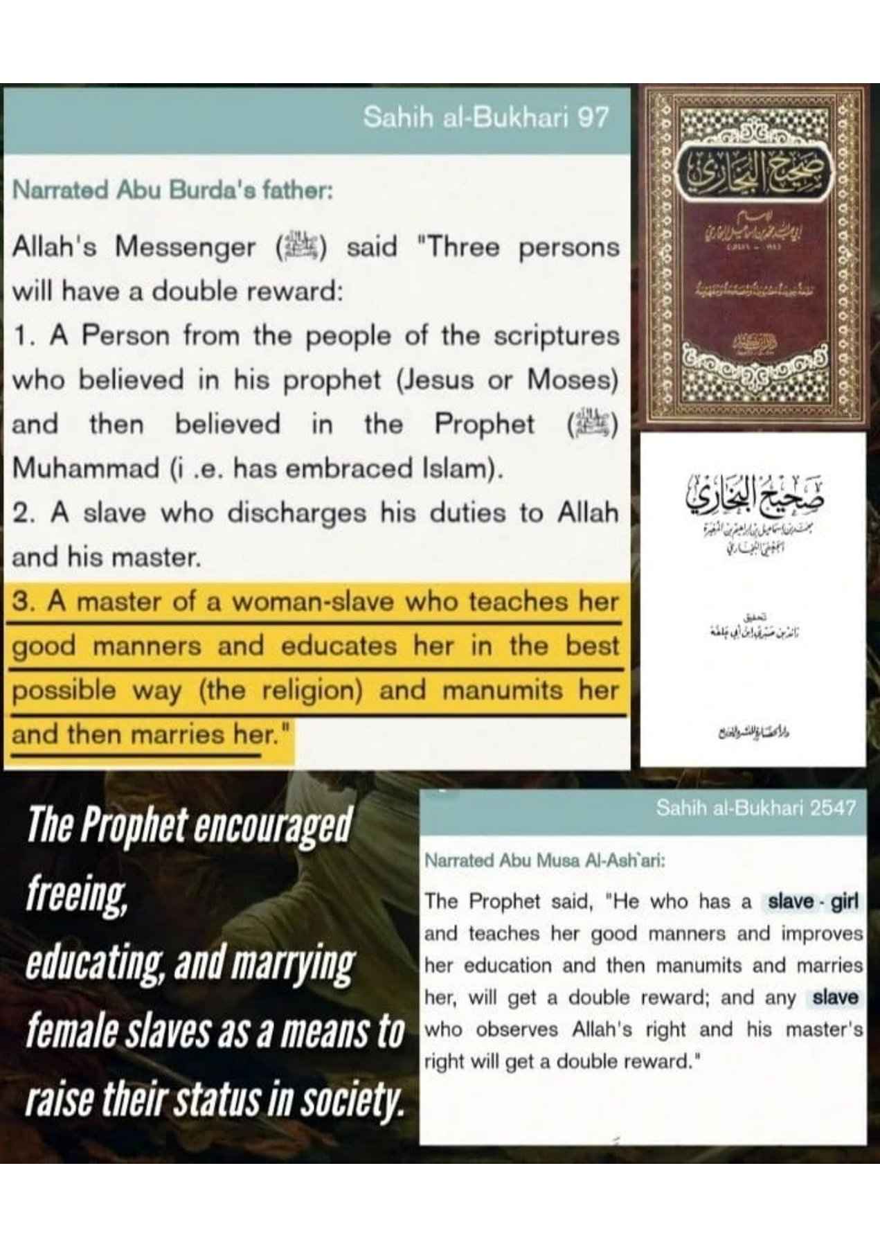 Islamophobes Nightmare. 1005 7c57fcc7938b0fb1