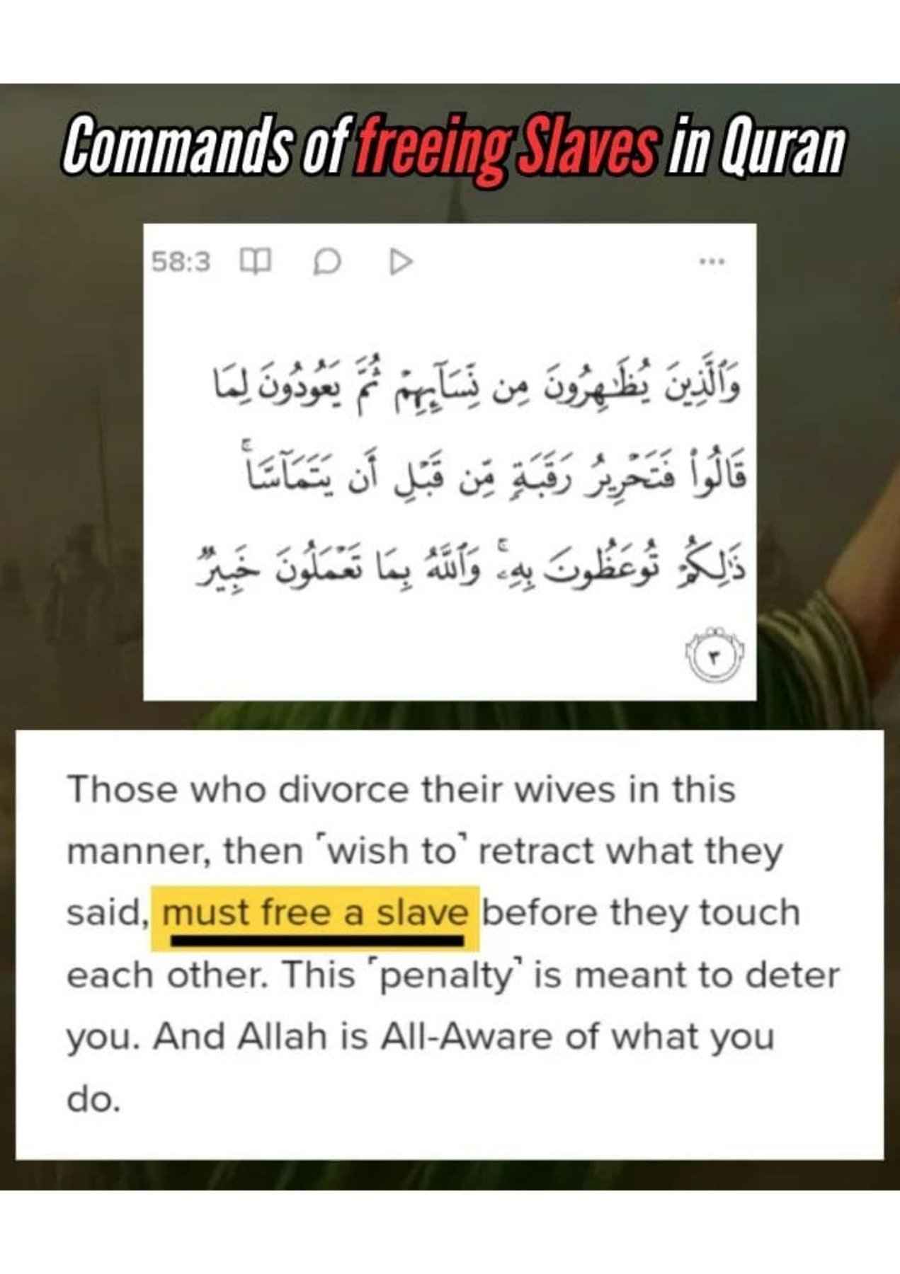 Islamophobes Nightmare. 1013 0a474d79b738e9ac