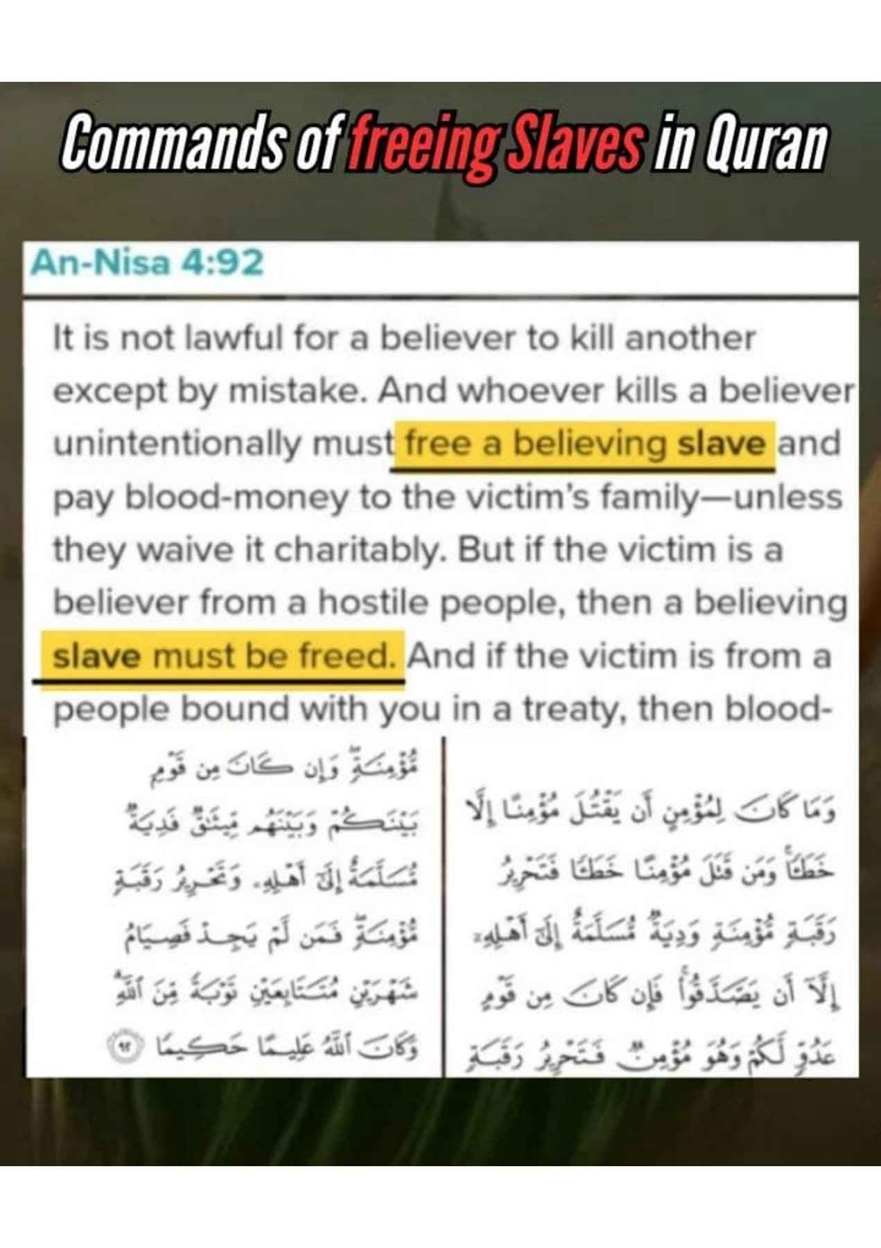 Islamophobes Nightmare. 1014 18113886d09dc1d1