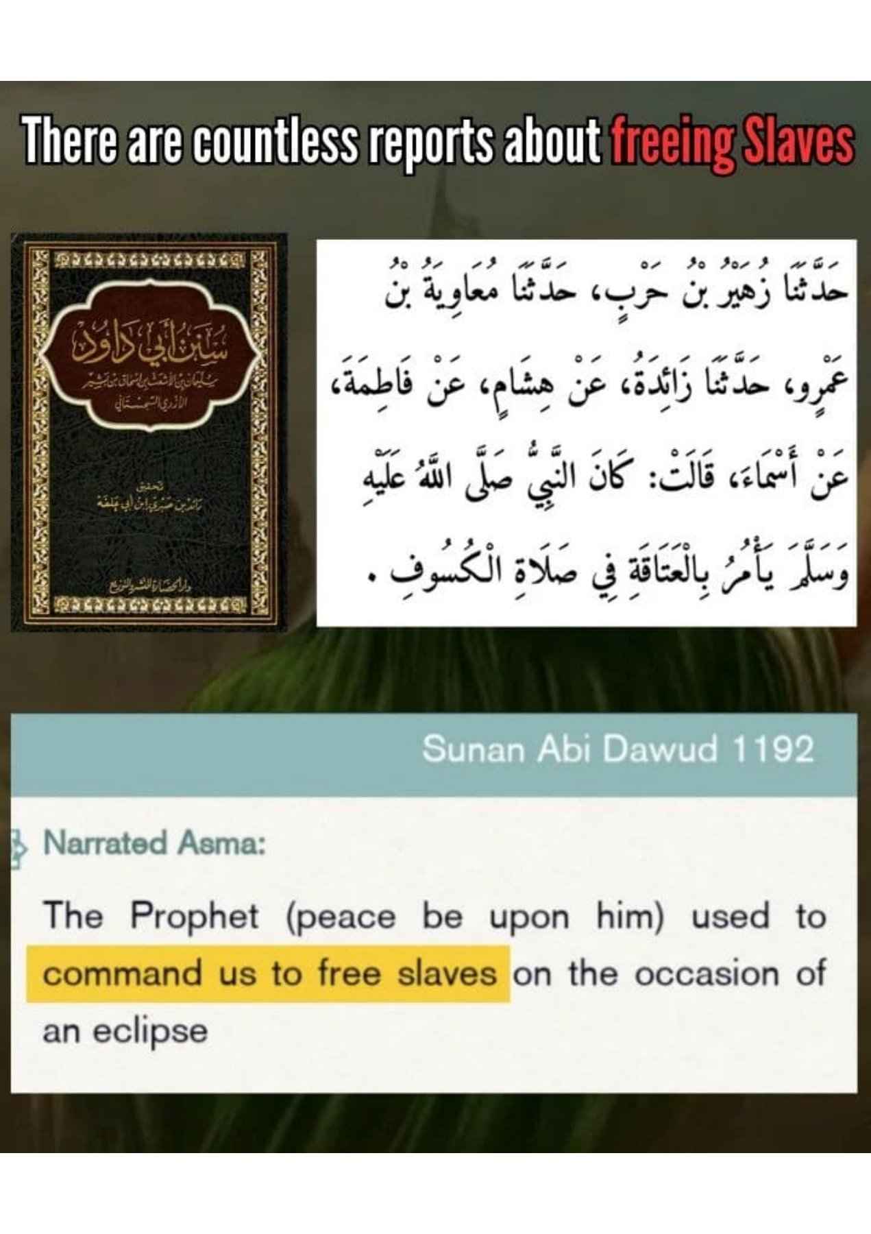 Islamophobes Nightmare. 1017 3cfe16d96a62fab2