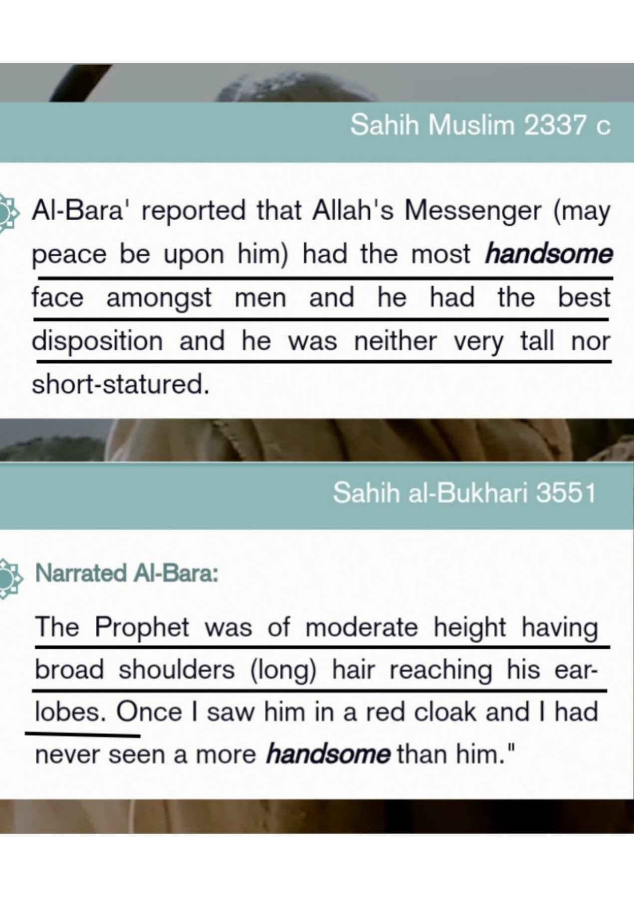 Islamophobes Nightmare. 102 3deca872af16a918
