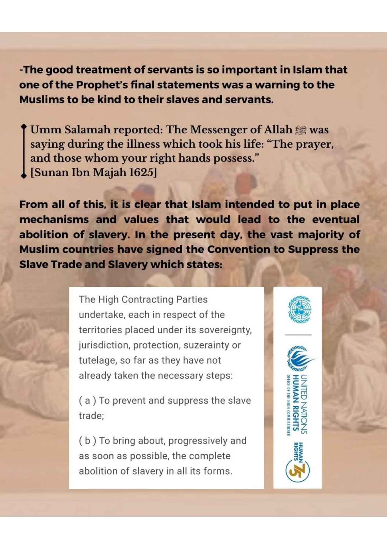 Islamophobes Nightmare. 1028 8ed21e90043bfa76