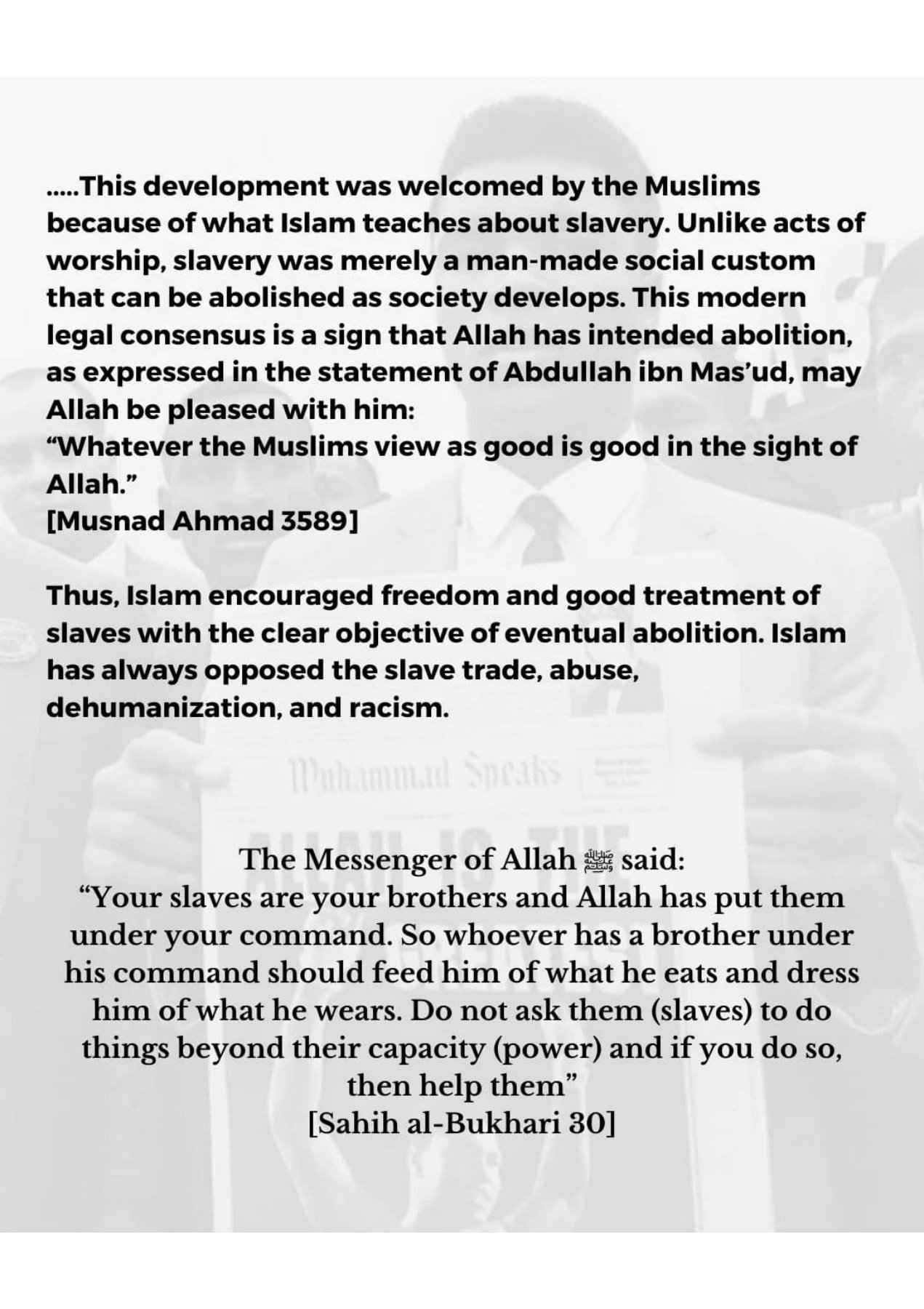 Islamophobes Nightmare. 1029 92bbb99226d95309