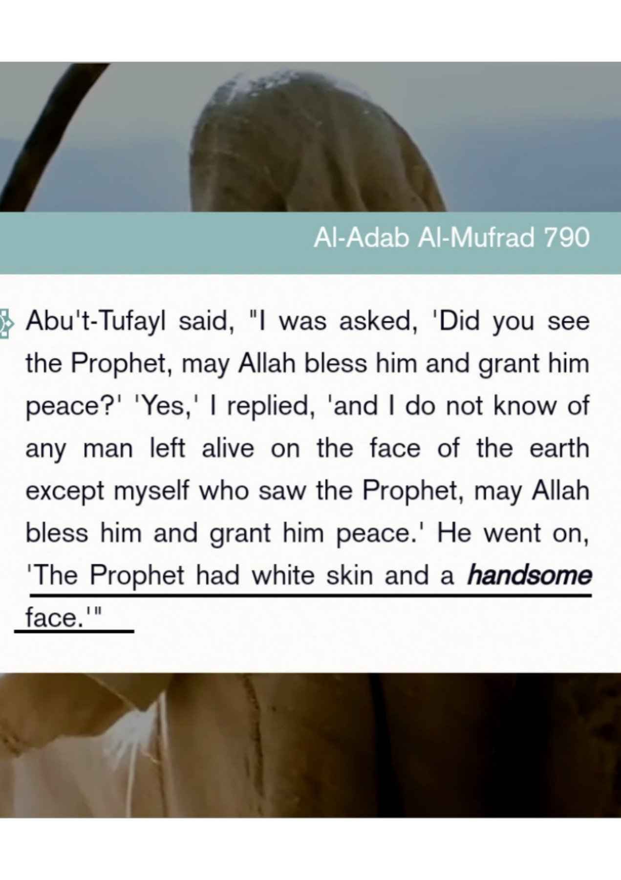 Islamophobes Nightmare. 105 5e139fa615e5e66c