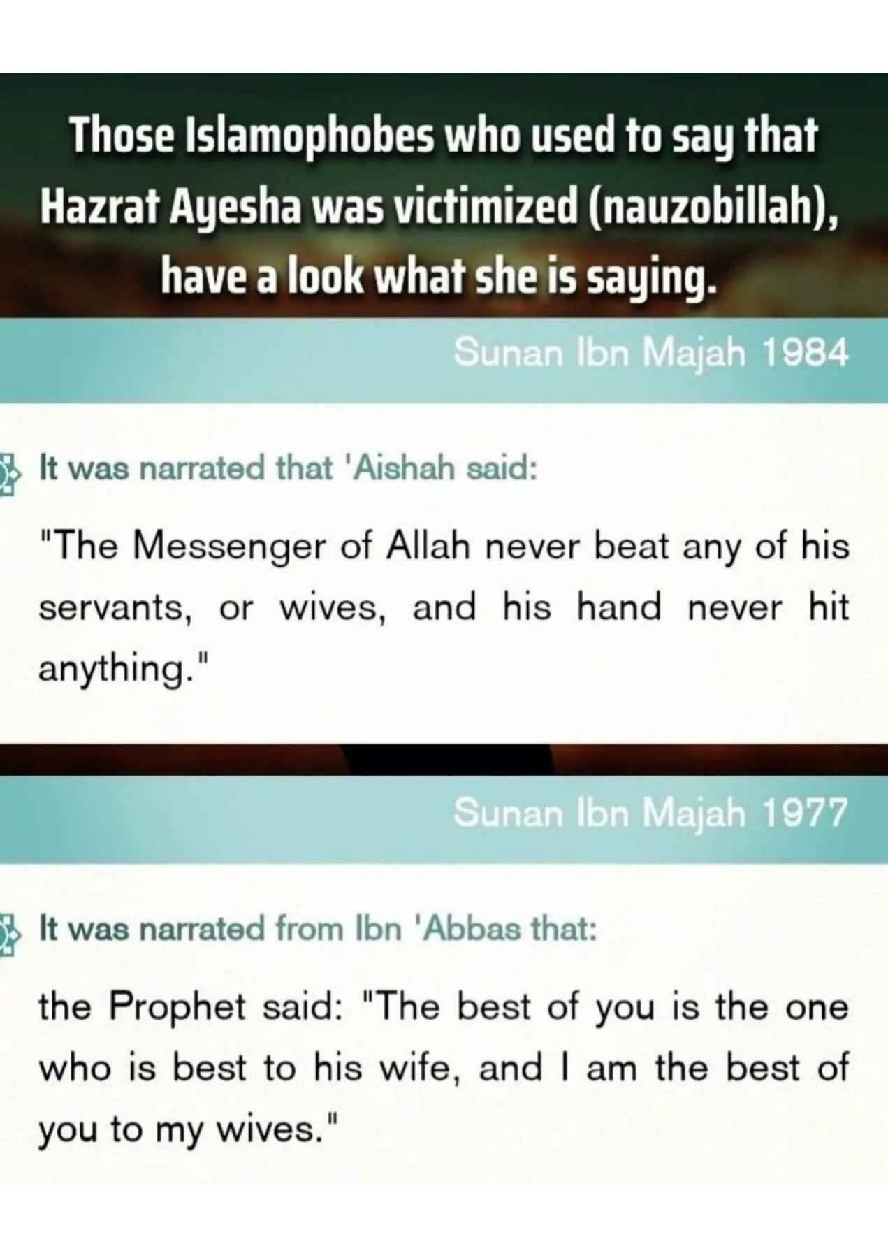Islamophobes Nightmare. 76 2e8c1af10c7834d5
