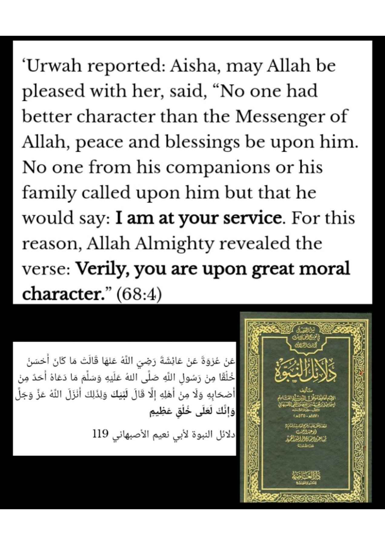 Islamophobes Nightmare. 91 93fa63ef196f4020