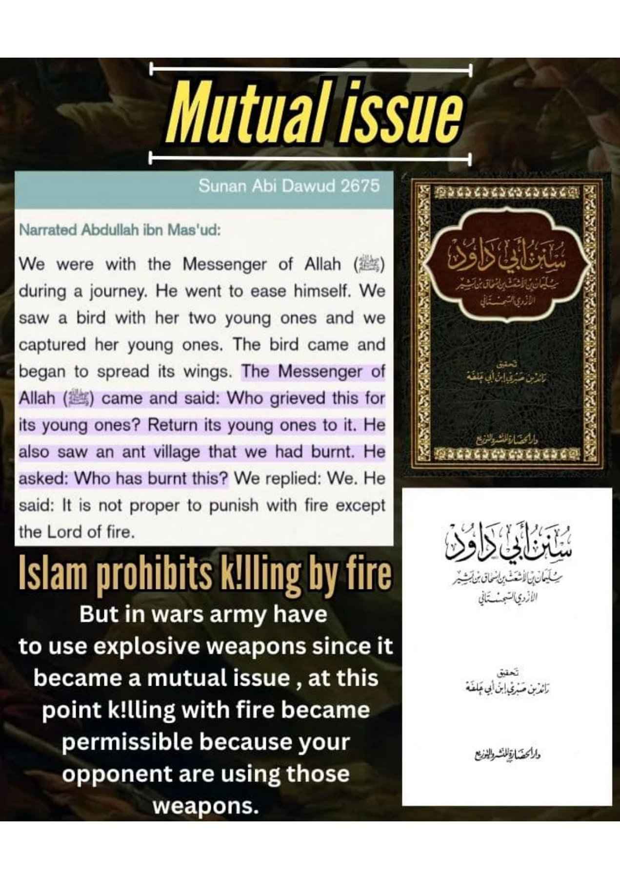 Islamophobes Nightmare. 943 a309fde6a9755fd8