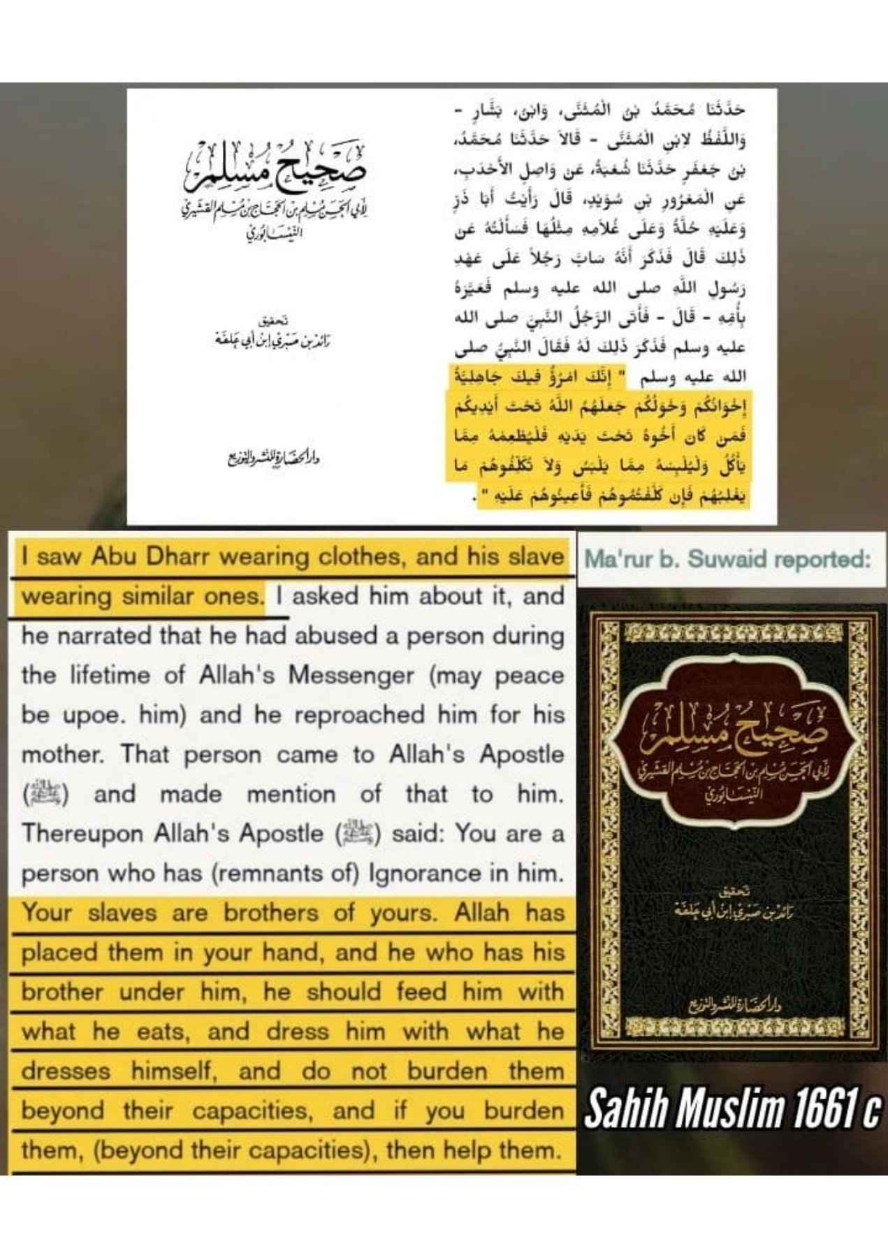 Islamophobes Nightmare. 976 f079bb1946d08371