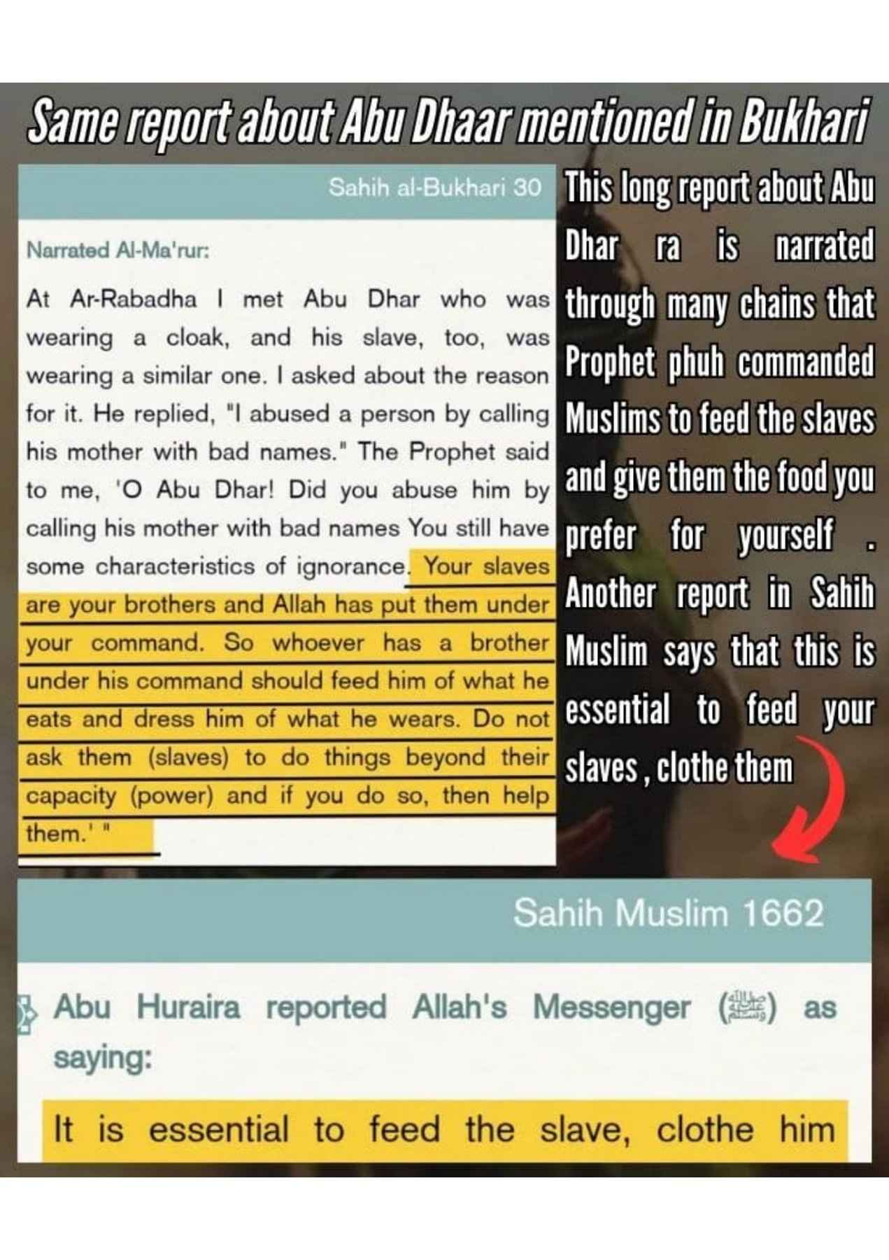 Islamophobes Nightmare. 977 175195ef872975e2