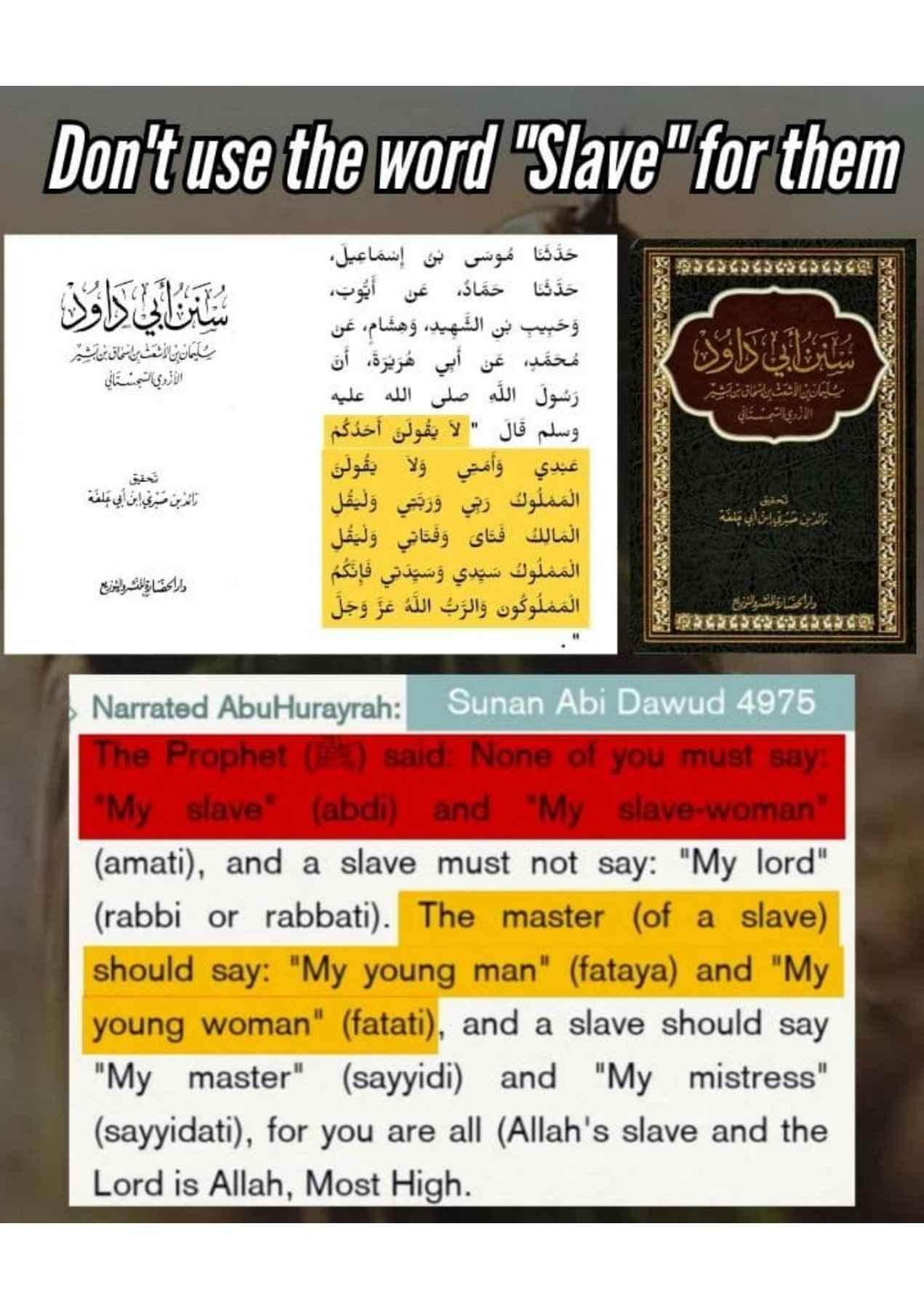 Islamophobes Nightmare. 980 e8e81de45680de3a