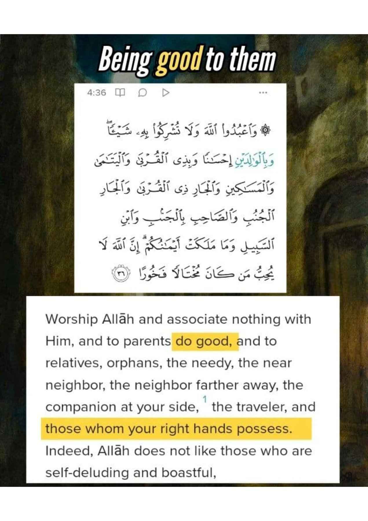 Islamophobes Nightmare. 988 b0b9605bcdcfa762
