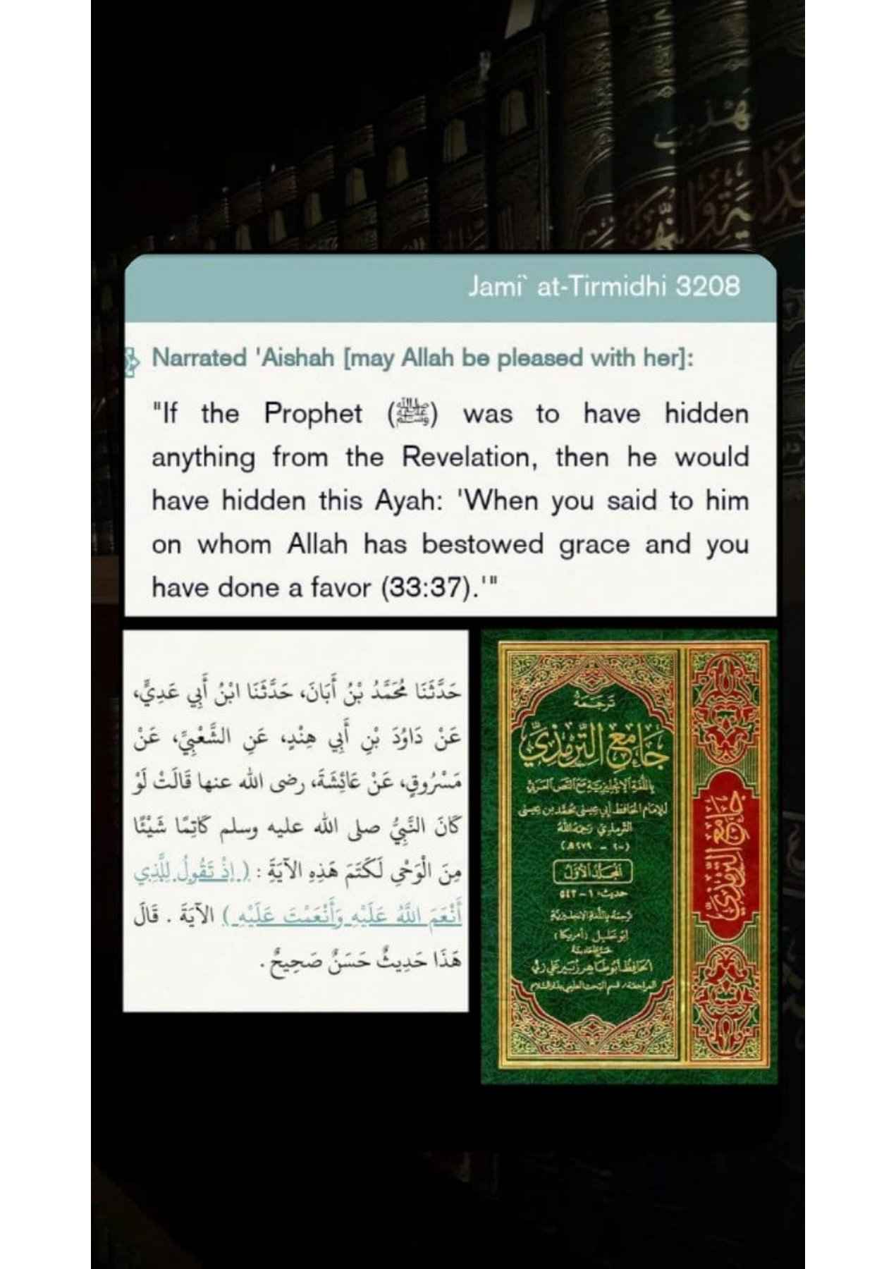 Islamophobes Nightmare pdf 1306 35cfead0af586708