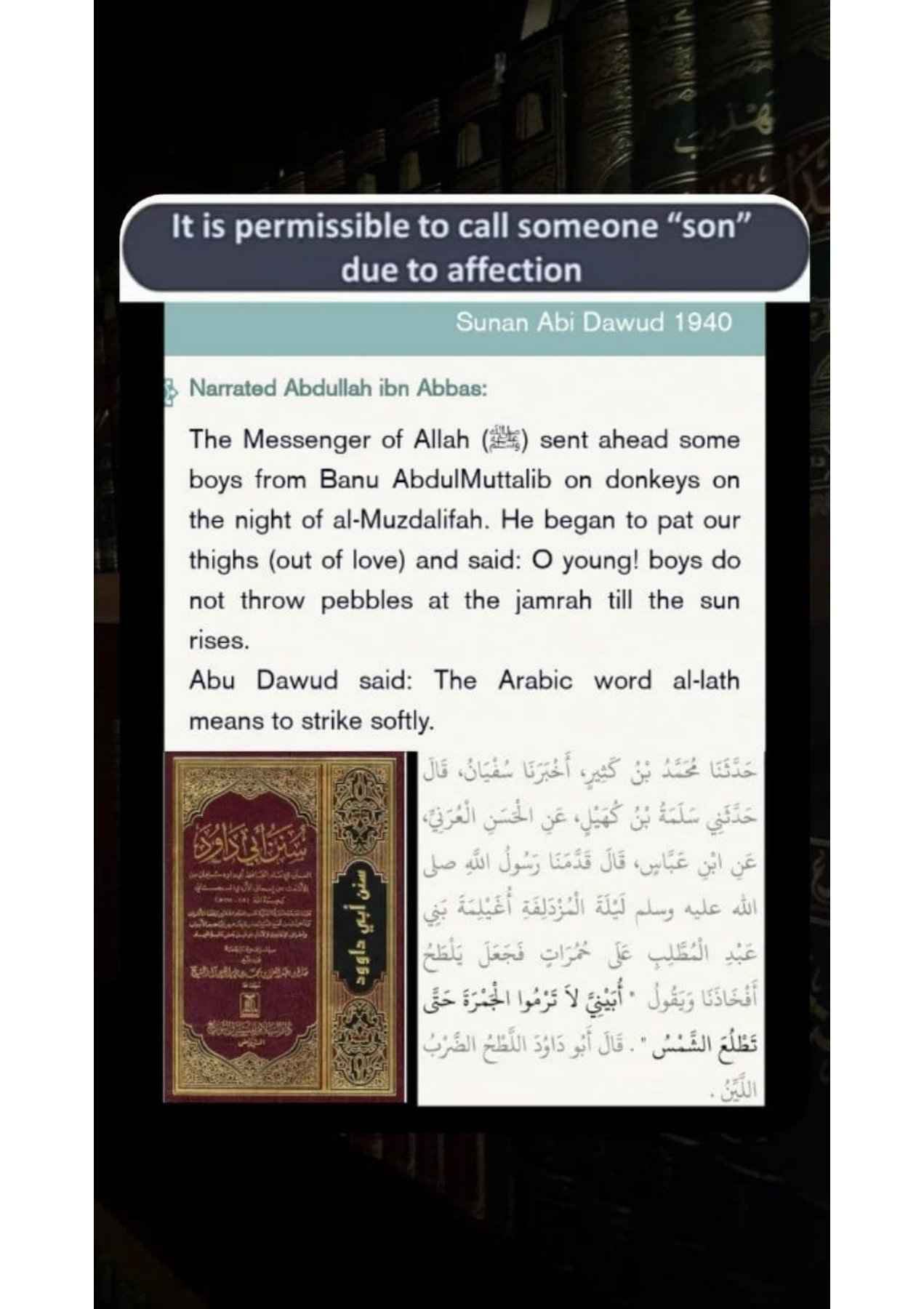 Islamophobes Nightmare pdf 1310 398414f97fbbdb3d
