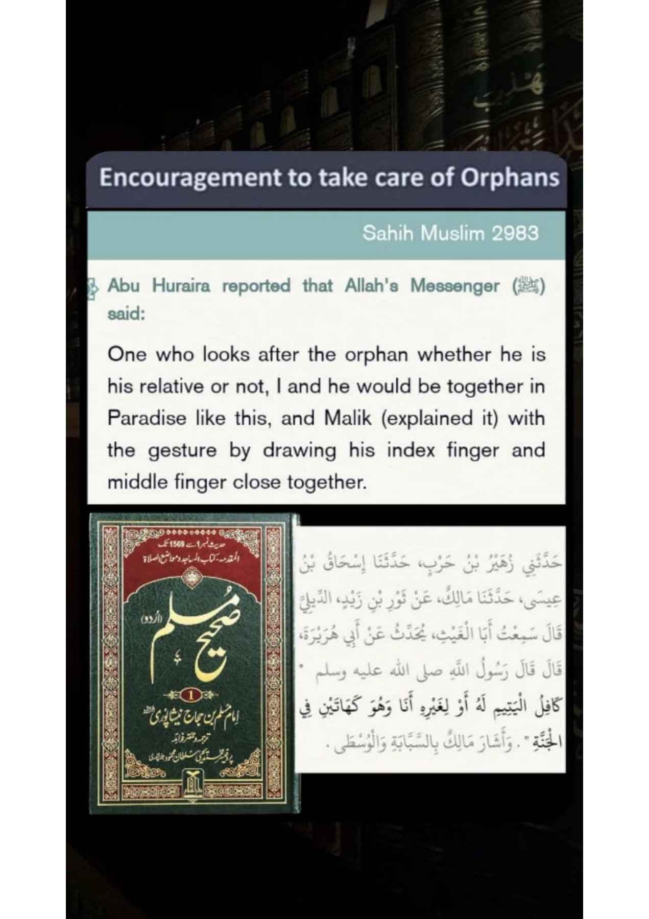 Islamophobes Nightmare pdf 1311 1cdceccc36fa7025