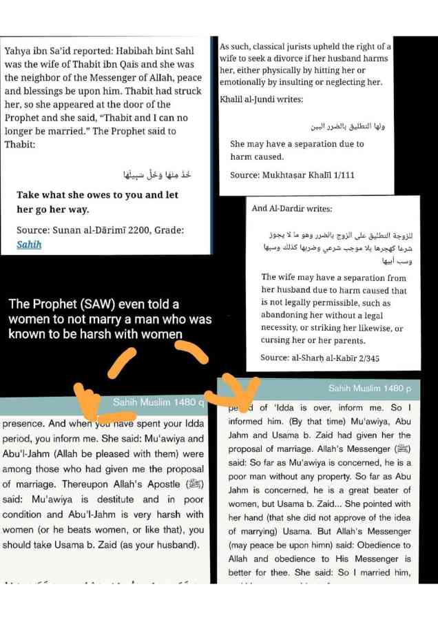 Islamophobes Nightmare pdf 221 033d1d9172aada50
