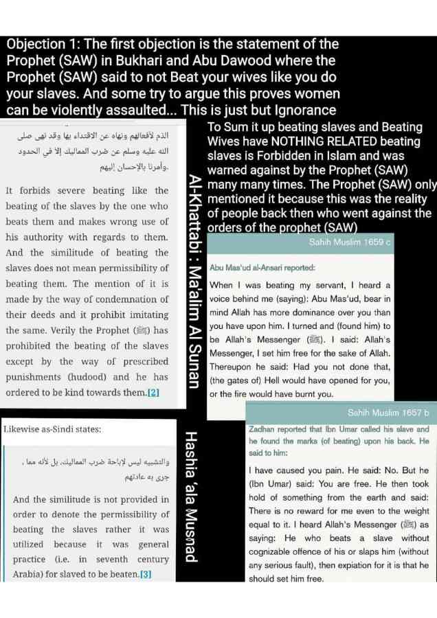 Islamophobes Nightmare pdf 222 b91c52d65eafcf05