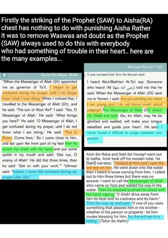 Islamophobes Nightmare pdf 224 5852b2a559c7a181