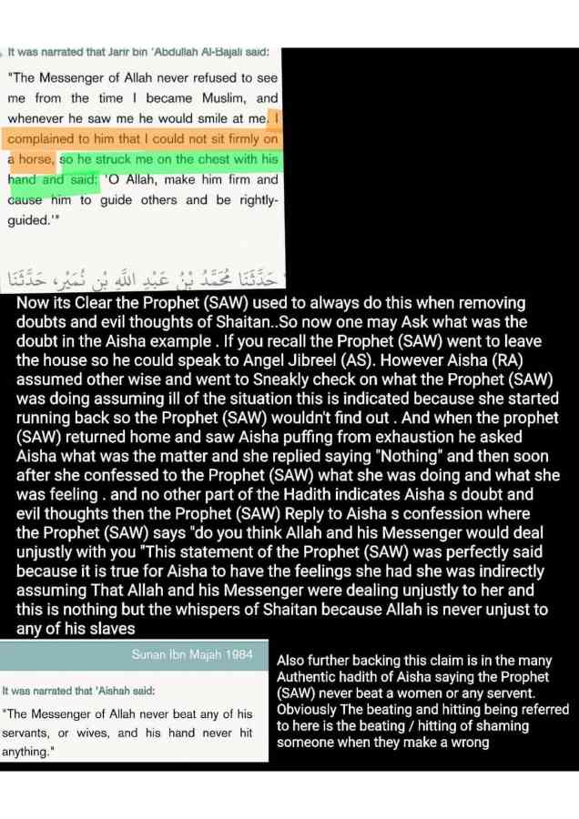 Islamophobes Nightmare pdf 225 770faefec63fc36d