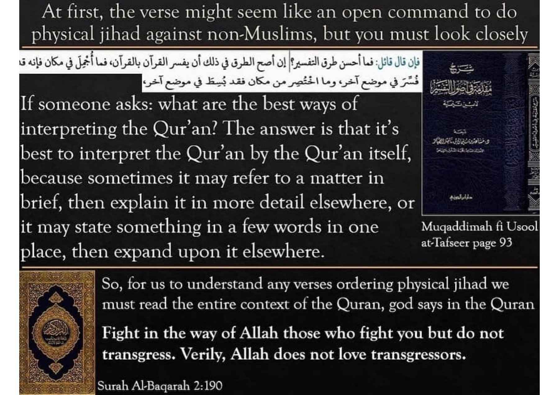 Islamophobes Nightmare pdf 262 08eb9171bedeb259