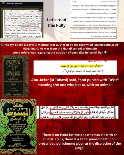 a response to the accursed enemies of religion who said that islam permits bestiality 12