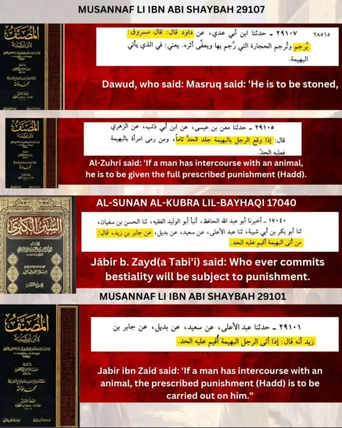 a response to the accursed enemies of religion who said that islam permits bestiality 14