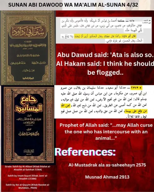 a response to the accursed enemies of religion who said that islam permits bestiality 15
