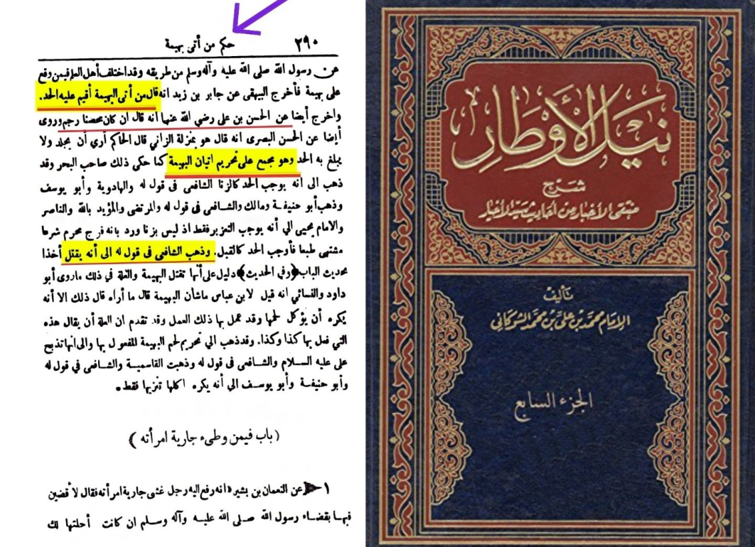 a response to the accursed enemies of religion who said that islam permits bestiality 2