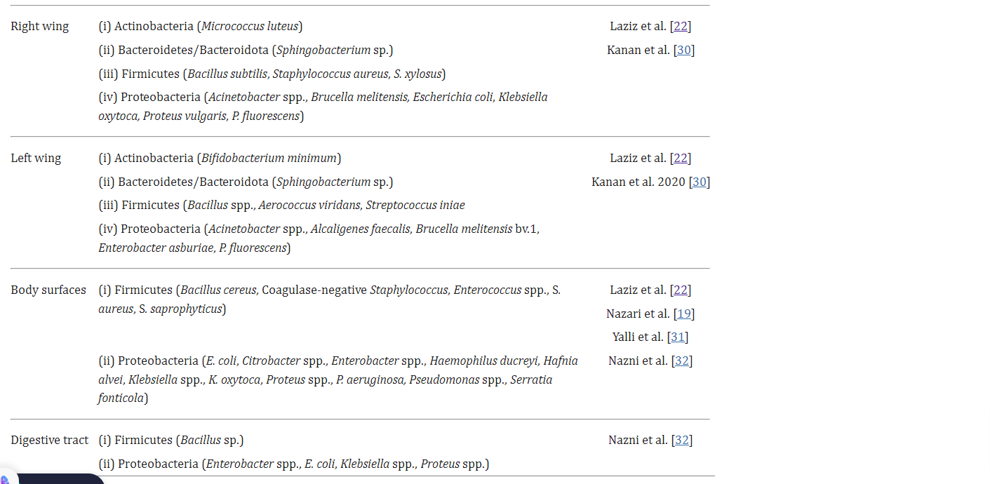1327e bdd9b2bc4ddd1585