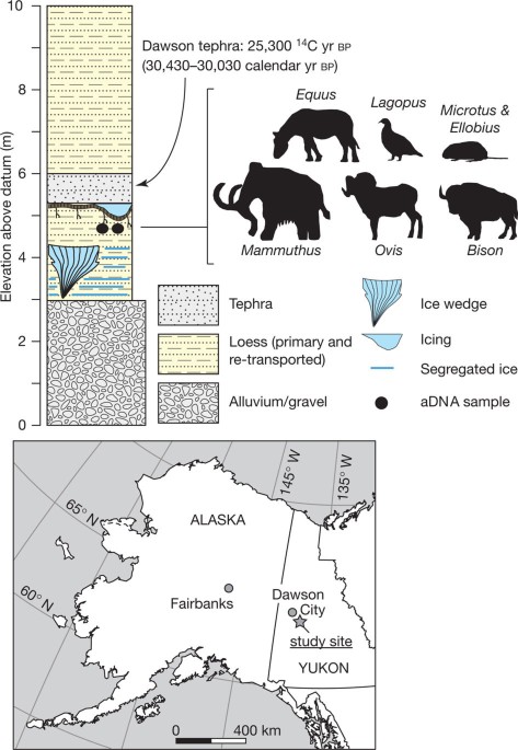 41586 2011 Article BFnature10388 Fig1 HTML 46a38f23cbeaf897