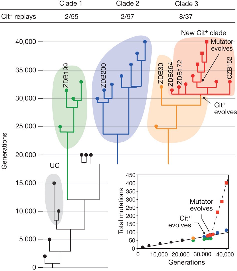 41586 2012 Article BFnature11514 Fig1 HTML 1726cae7a3ca1b21