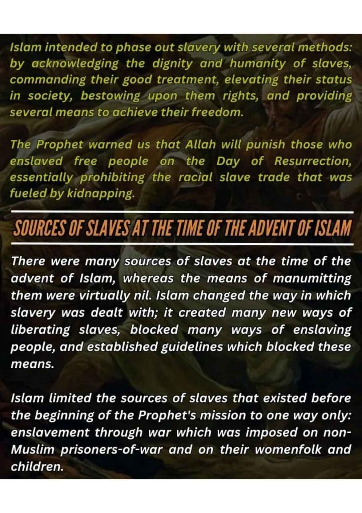 Islamophobes Nightmare. 942 b9142909bac2517a