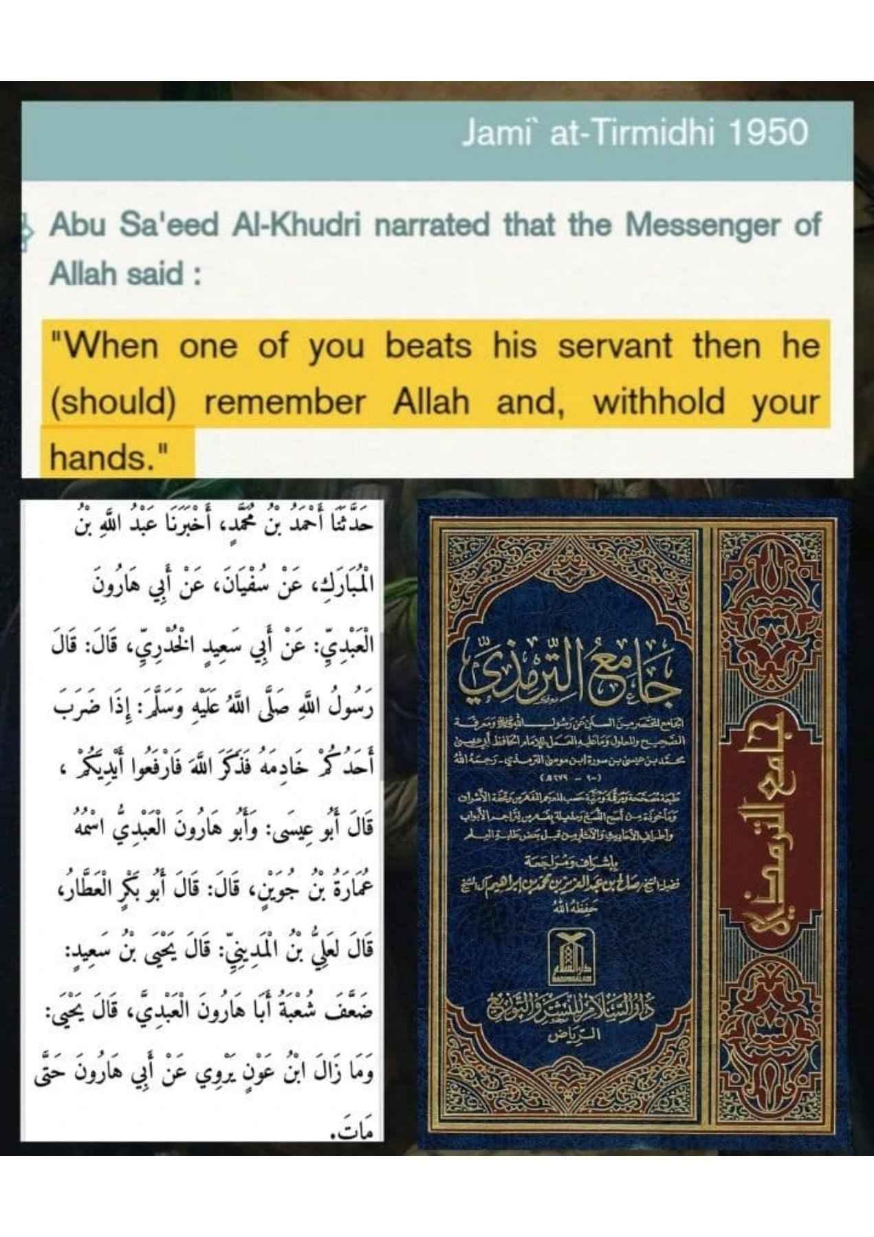 Islamophobes Nightmare. 968 ab7012ebb04649f8