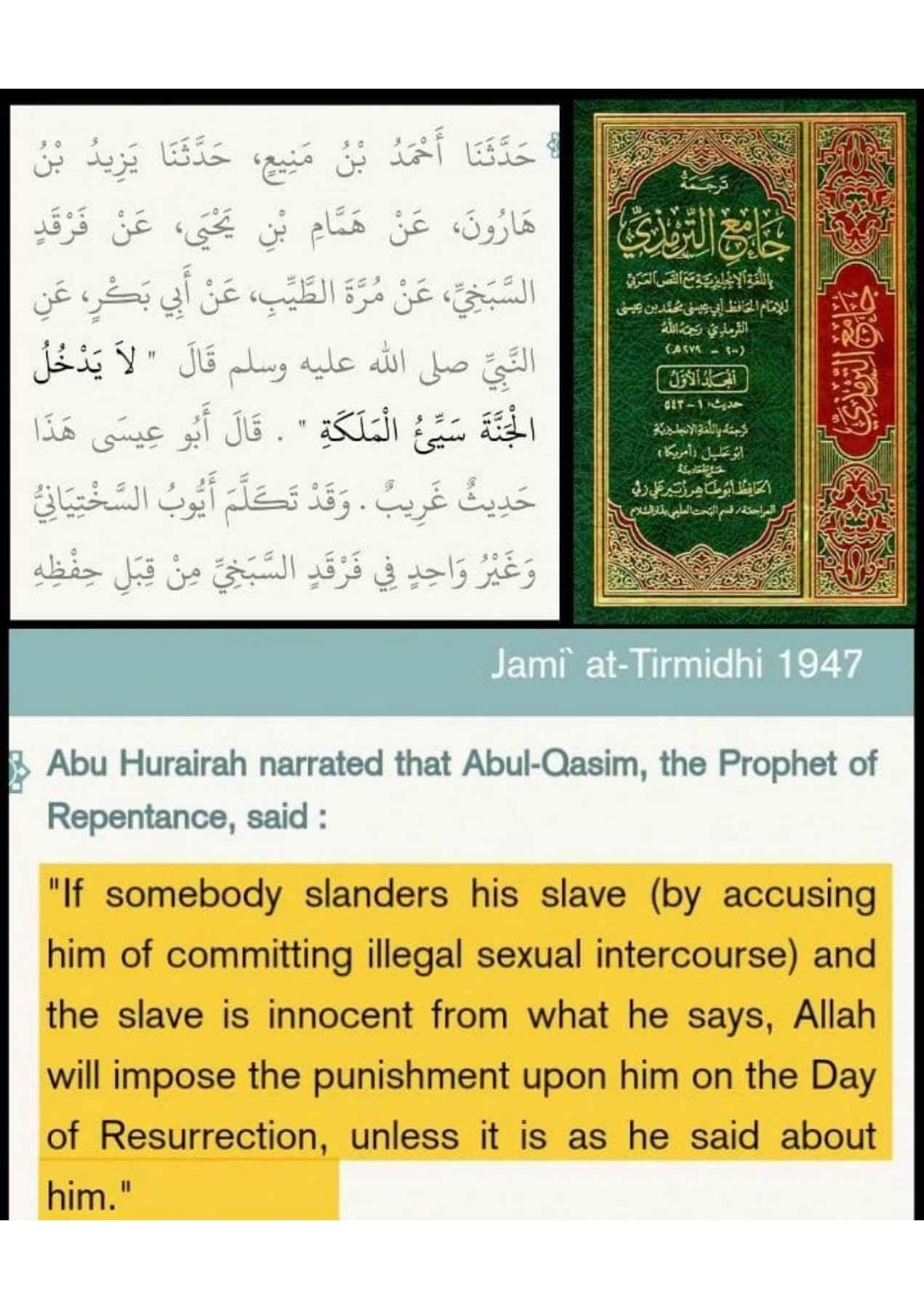 Islamophobes Nightmare. 972 c2e1966d4b5db07a