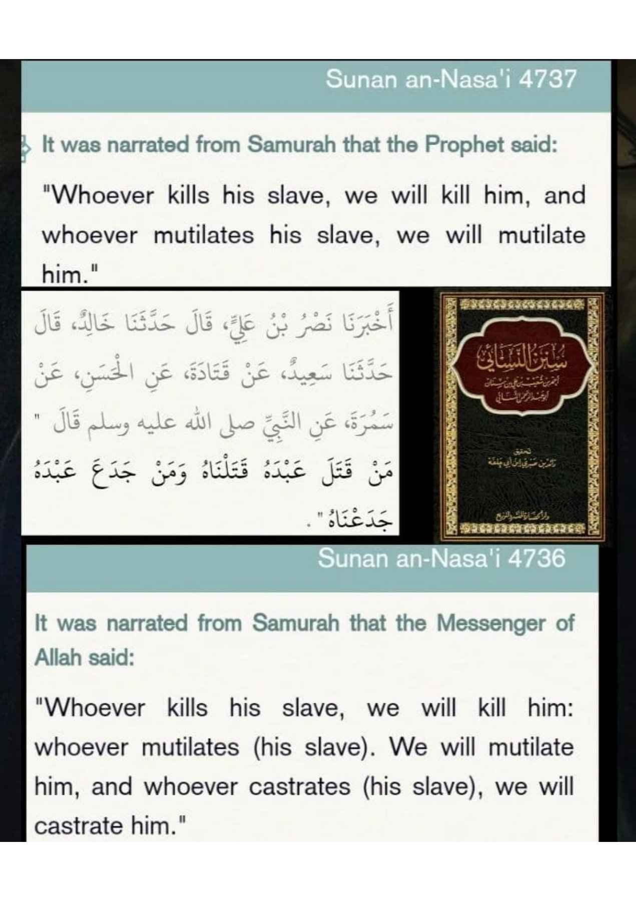 Islamophobes Nightmare. 973 9a149efa9a9d6916