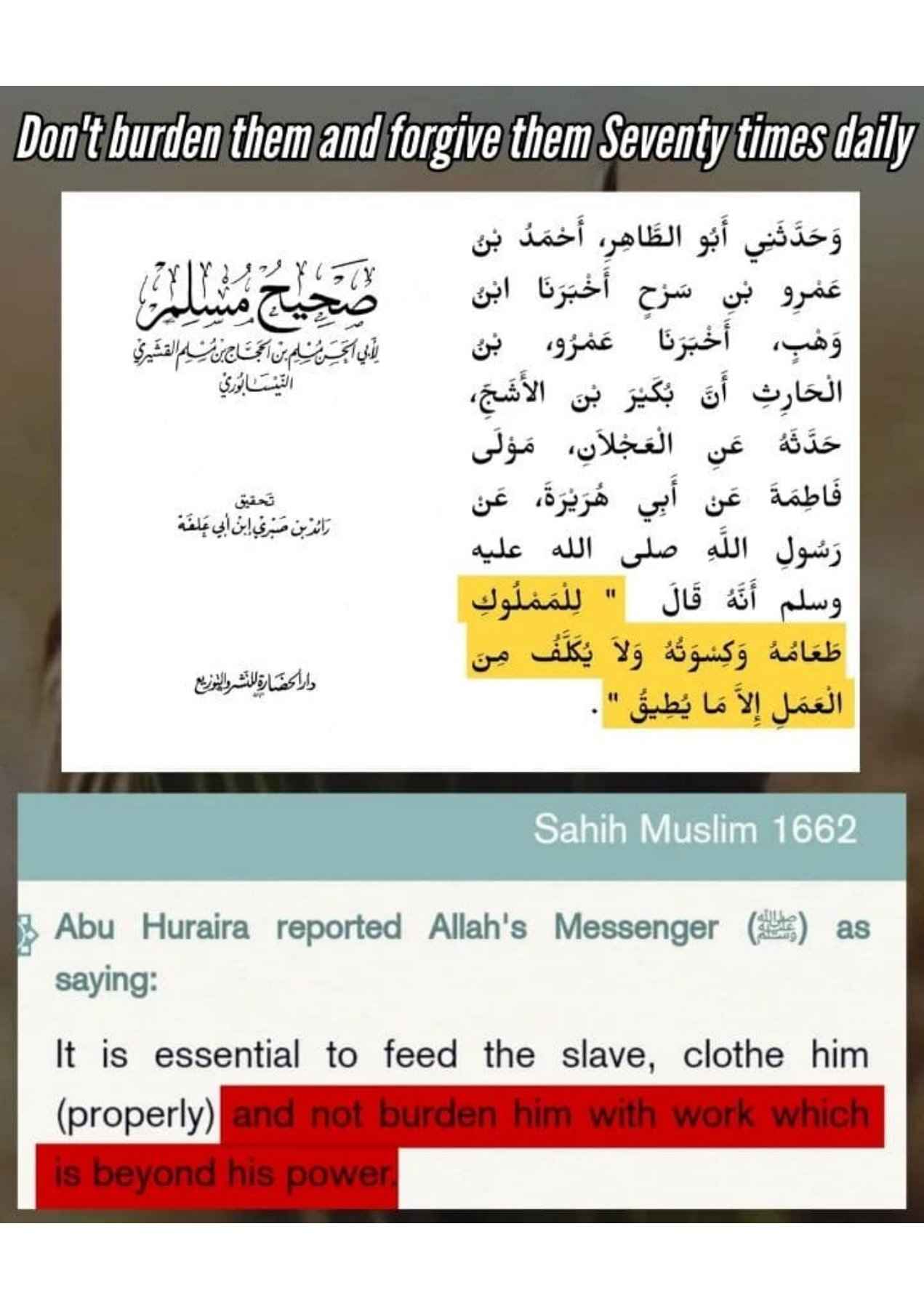 Islamophobes Nightmare. 978 6a432afaeb318dbd