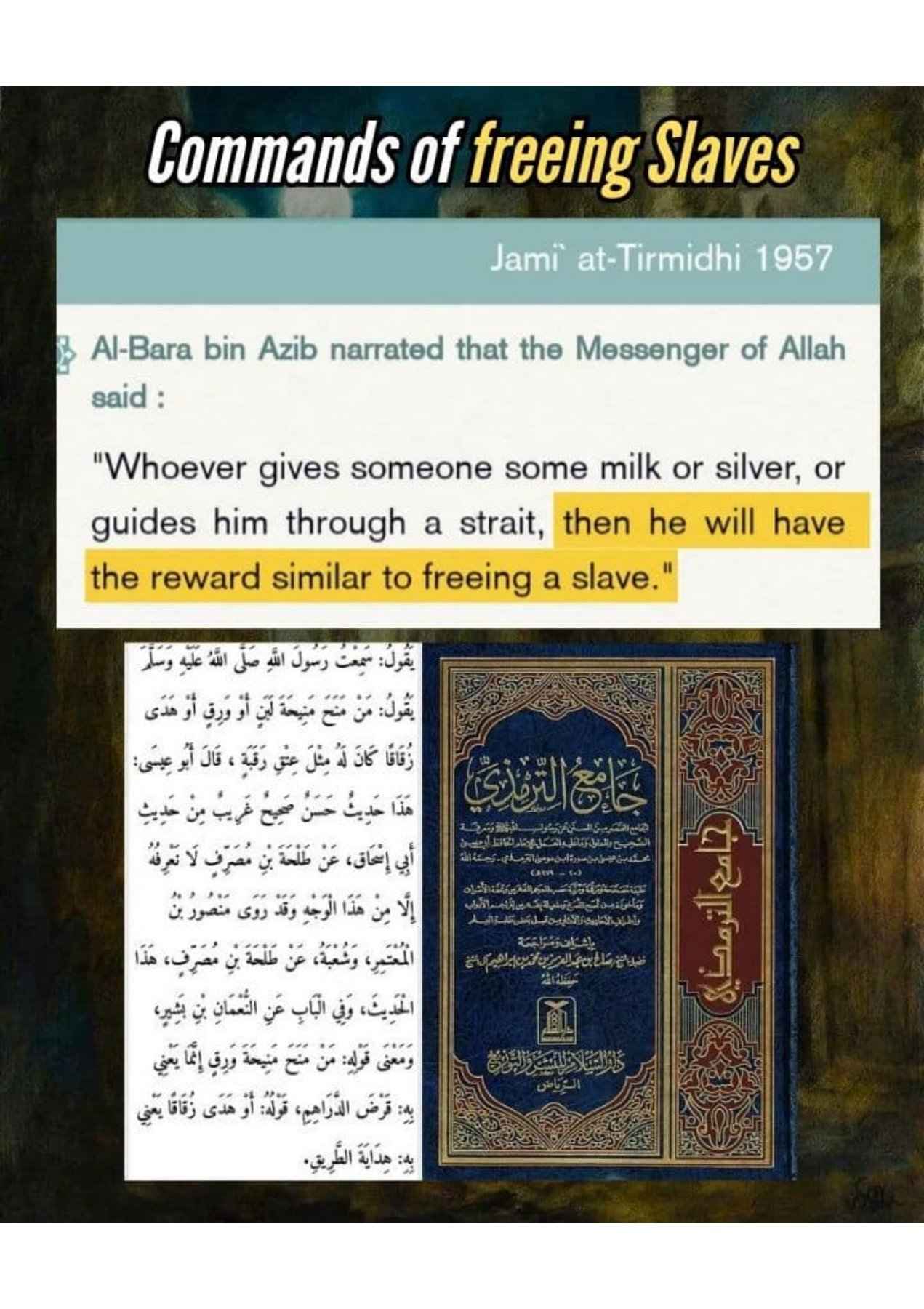 Islamophobes Nightmare. 986 d05f5cbec4934cbd