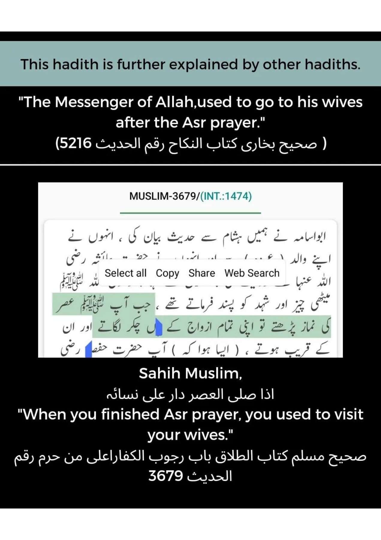 Islamophobes Nightmare pdf 350 18fb535d14340cfb