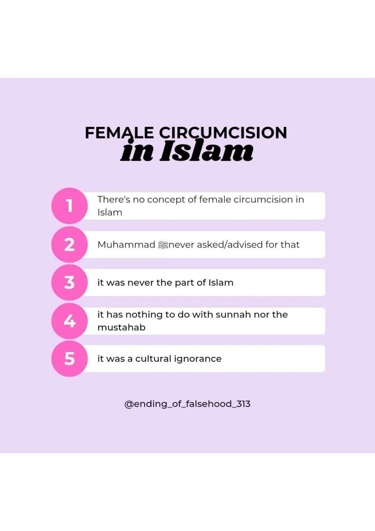 Islamophobes Nightmare pdf 747 d8c02b9e3c59f22a