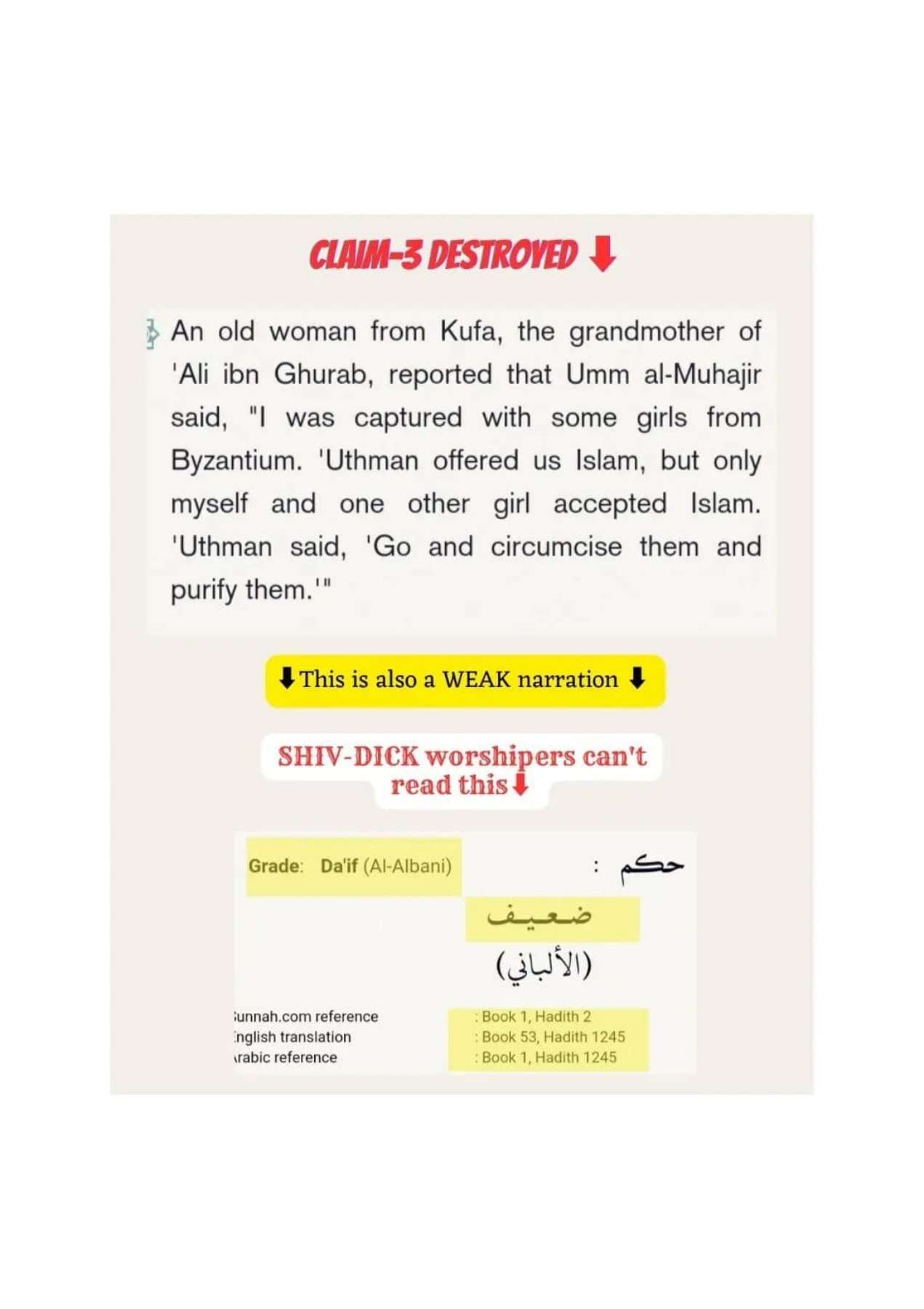 Islamophobes Nightmare pdf 753 f0a2b7e50825e2ce