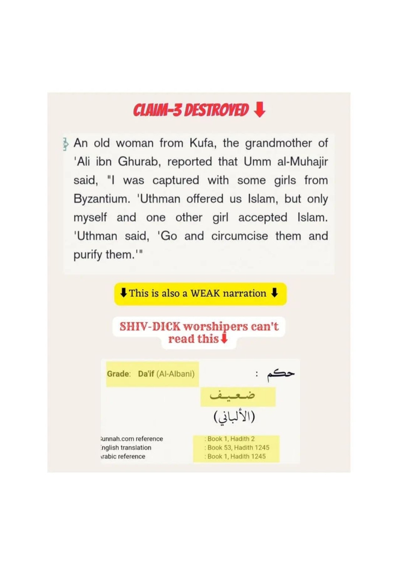 Islamophobes Nightmare pdf 754 e07828005c300f4e