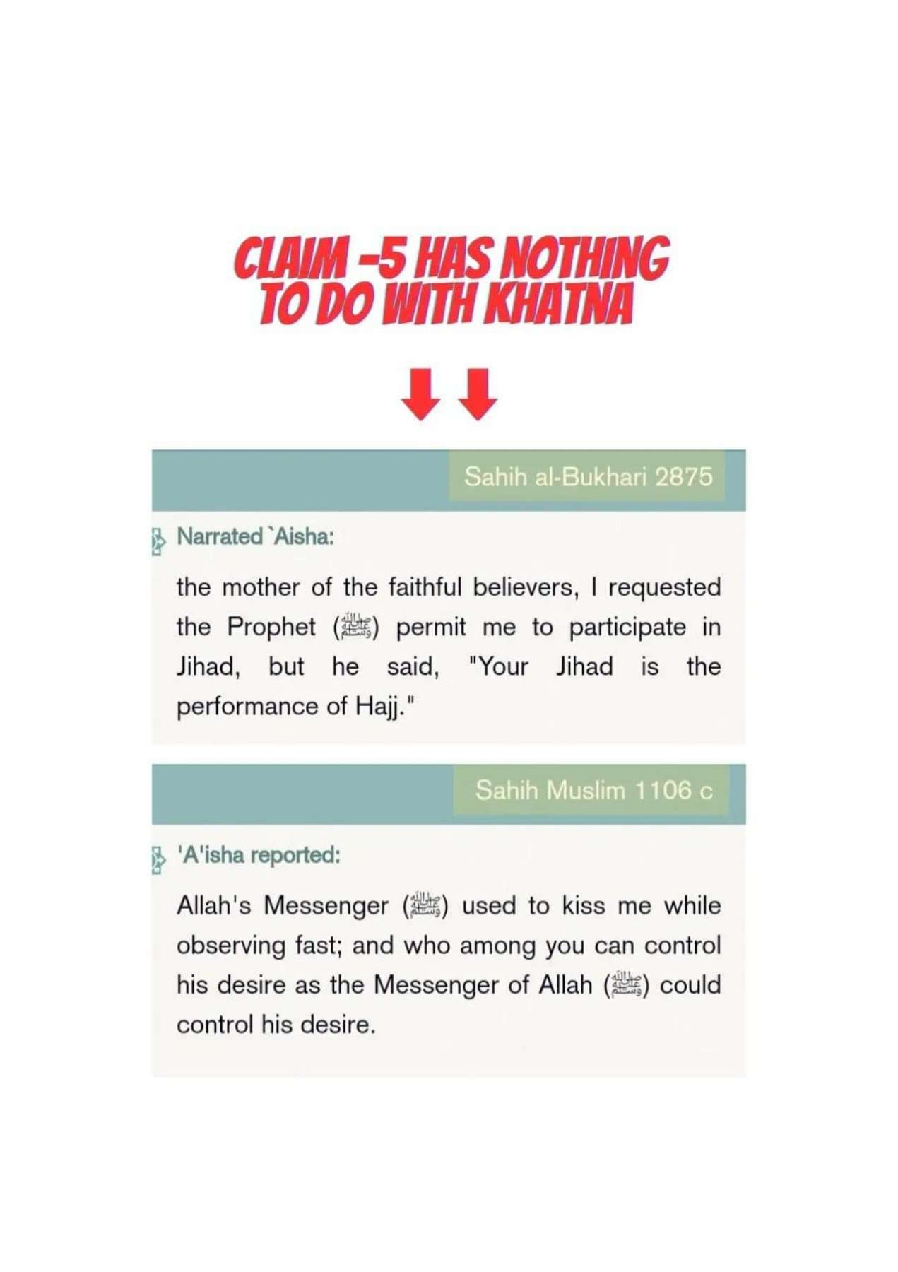 Islamophobes Nightmare pdf 758 154b452d6ba688ab